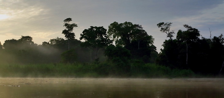 Borneo