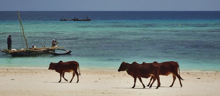 Zanzibar