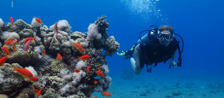 Red Sea